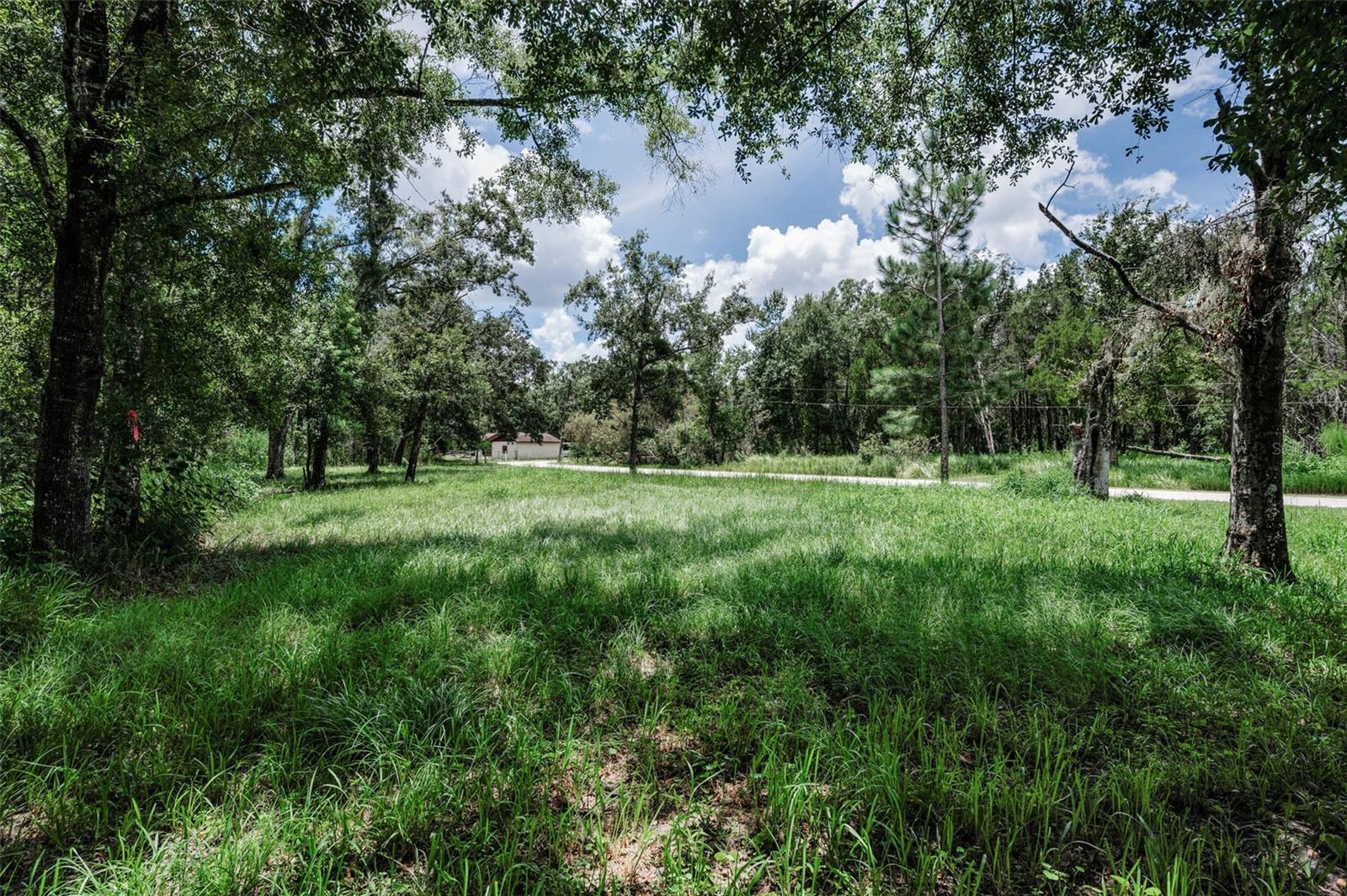 4552 COBB RD, LAND O LAKES, FL, 34638