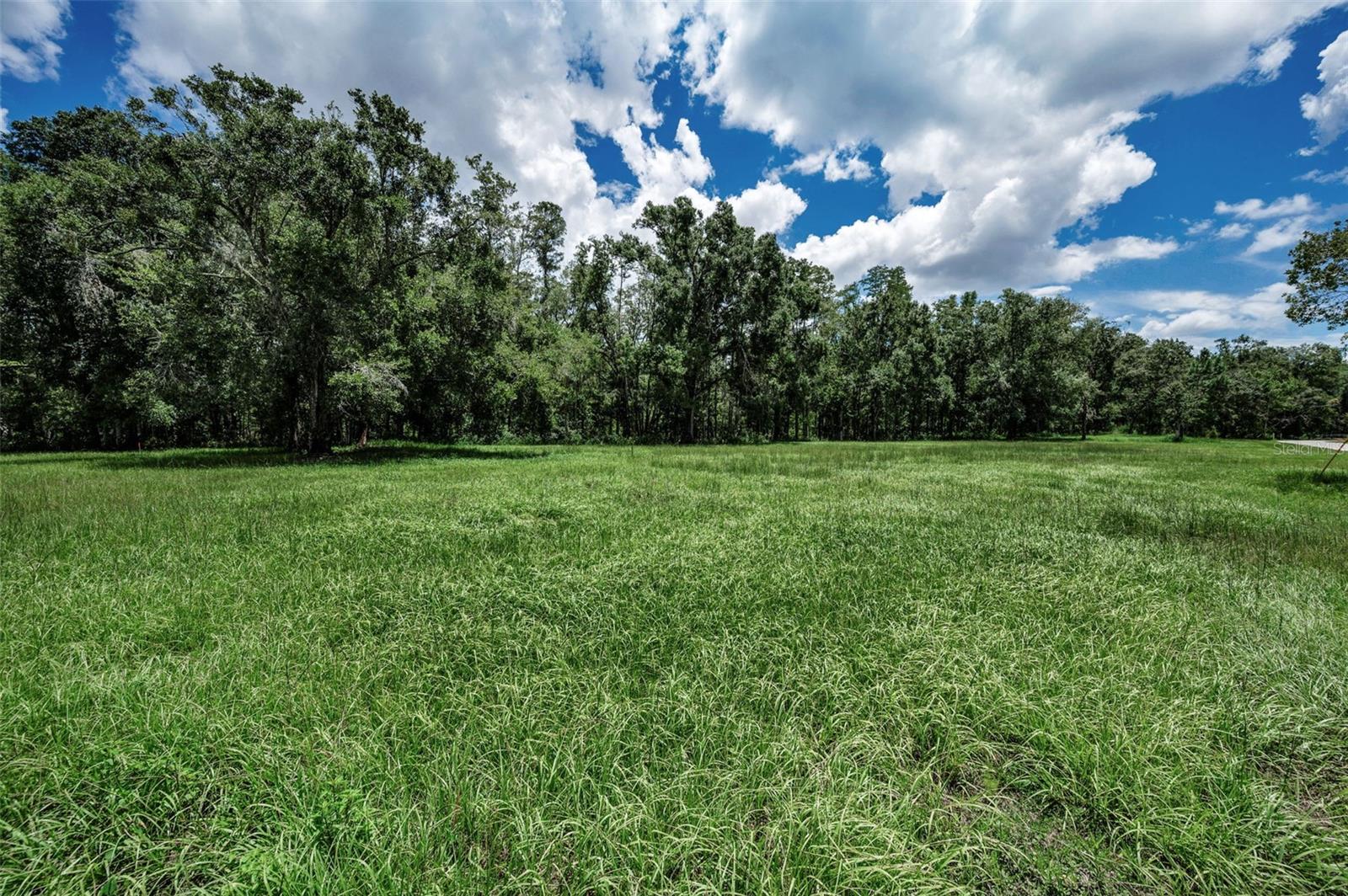 4552 COBB RD, LAND O LAKES, FL, 34638