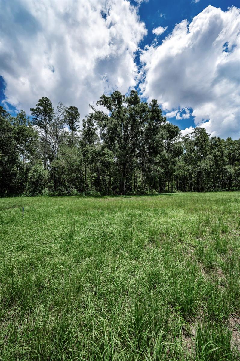 4552 COBB RD, LAND O LAKES, FL, 34638