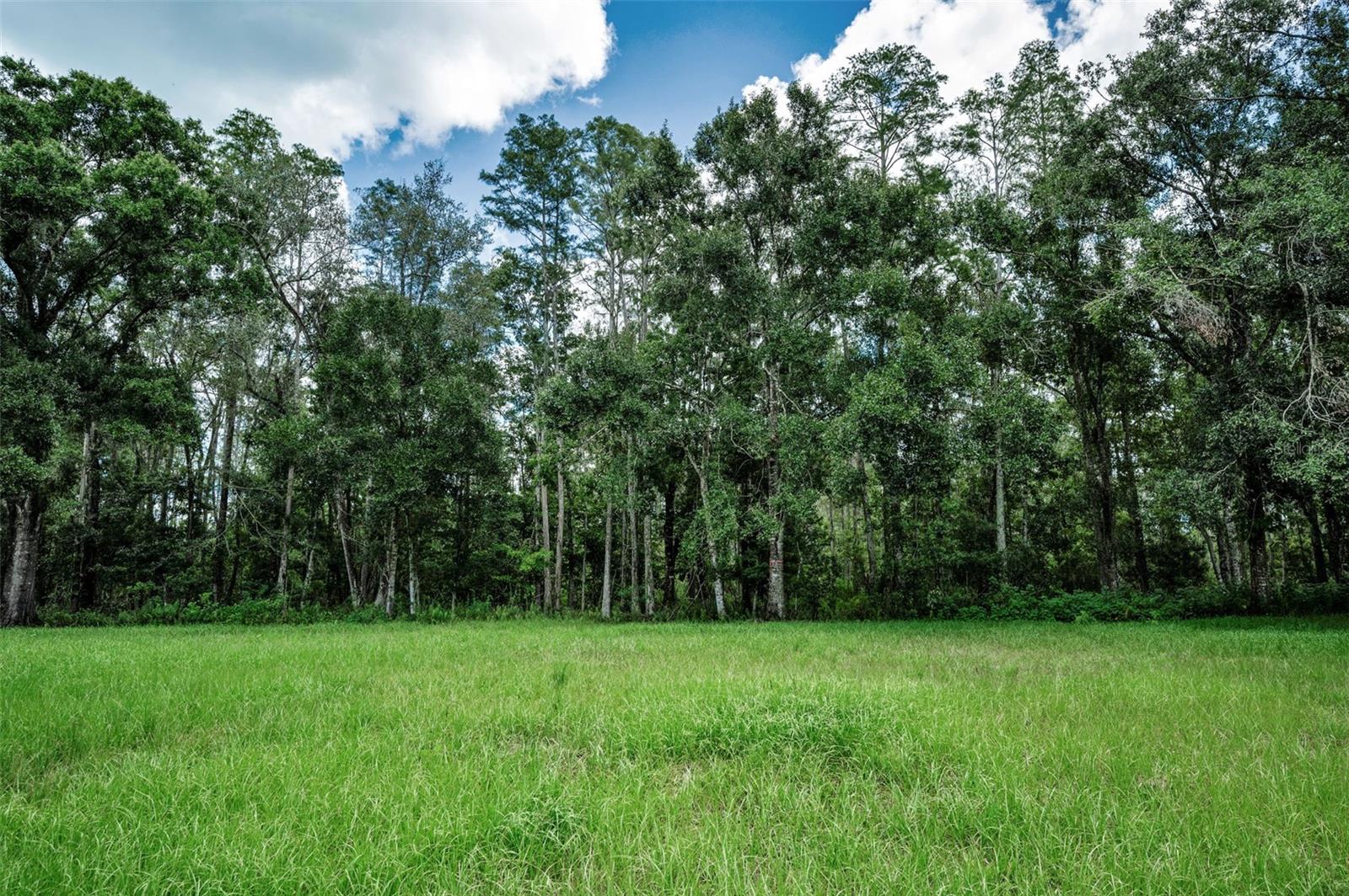 4552 COBB RD, LAND O LAKES, FL, 34638