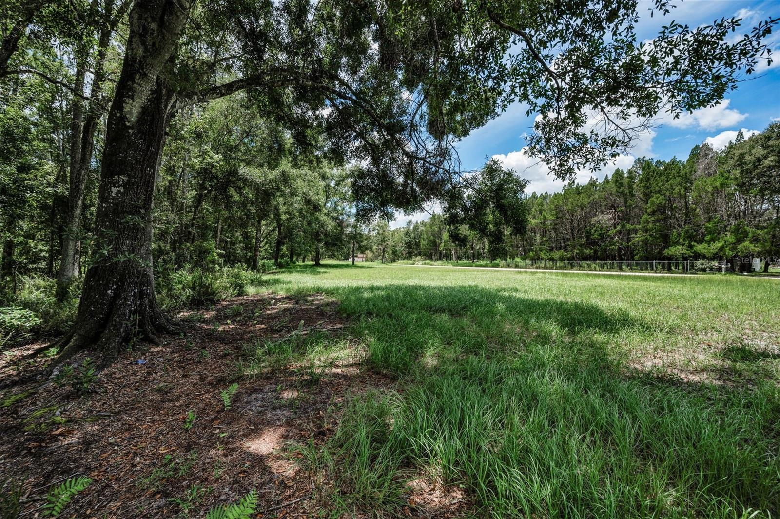 4552 COBB RD, LAND O LAKES, FL, 34638