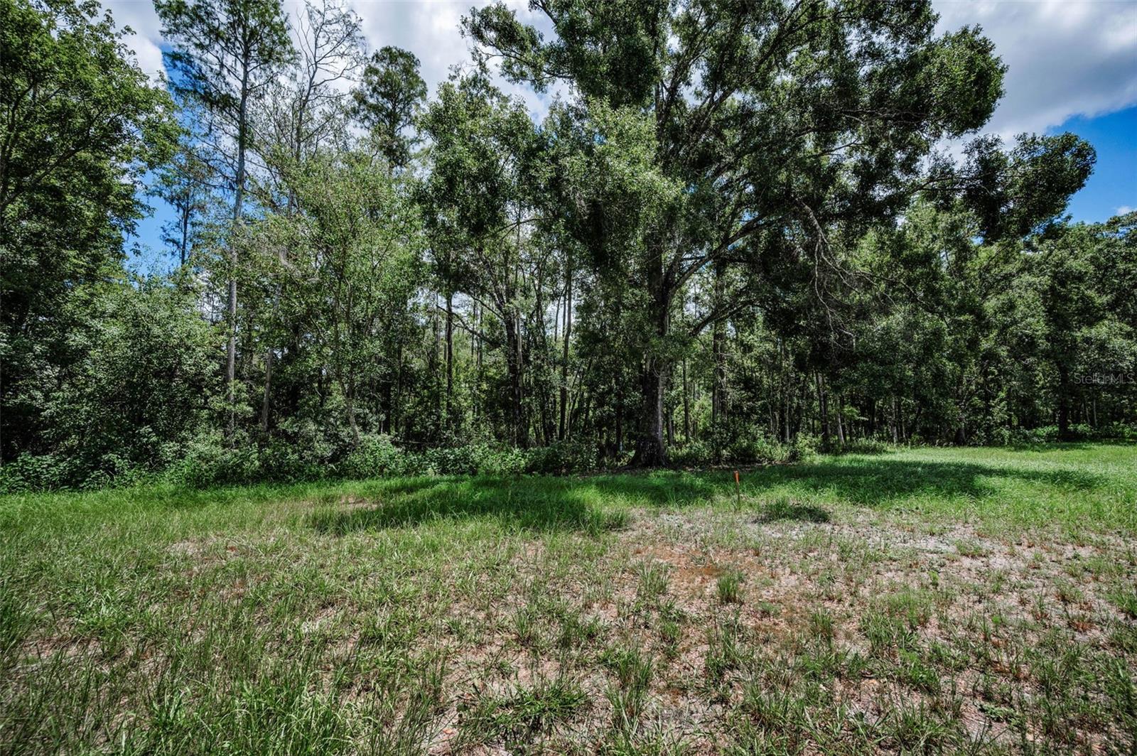 4552 COBB RD, LAND O LAKES, FL, 34638
