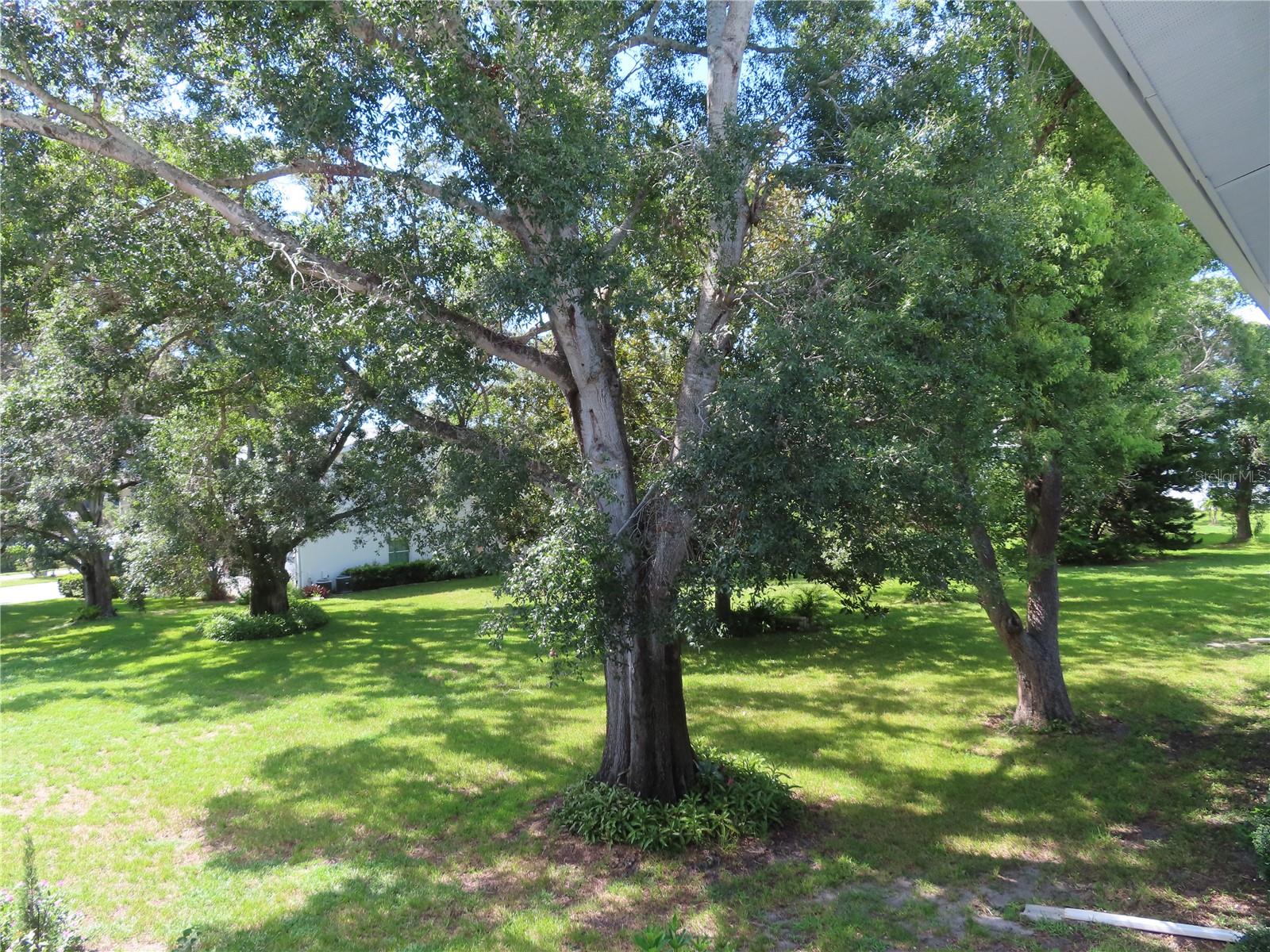 300 CLYDE LN #207, DUNEDIN, FL, 34698