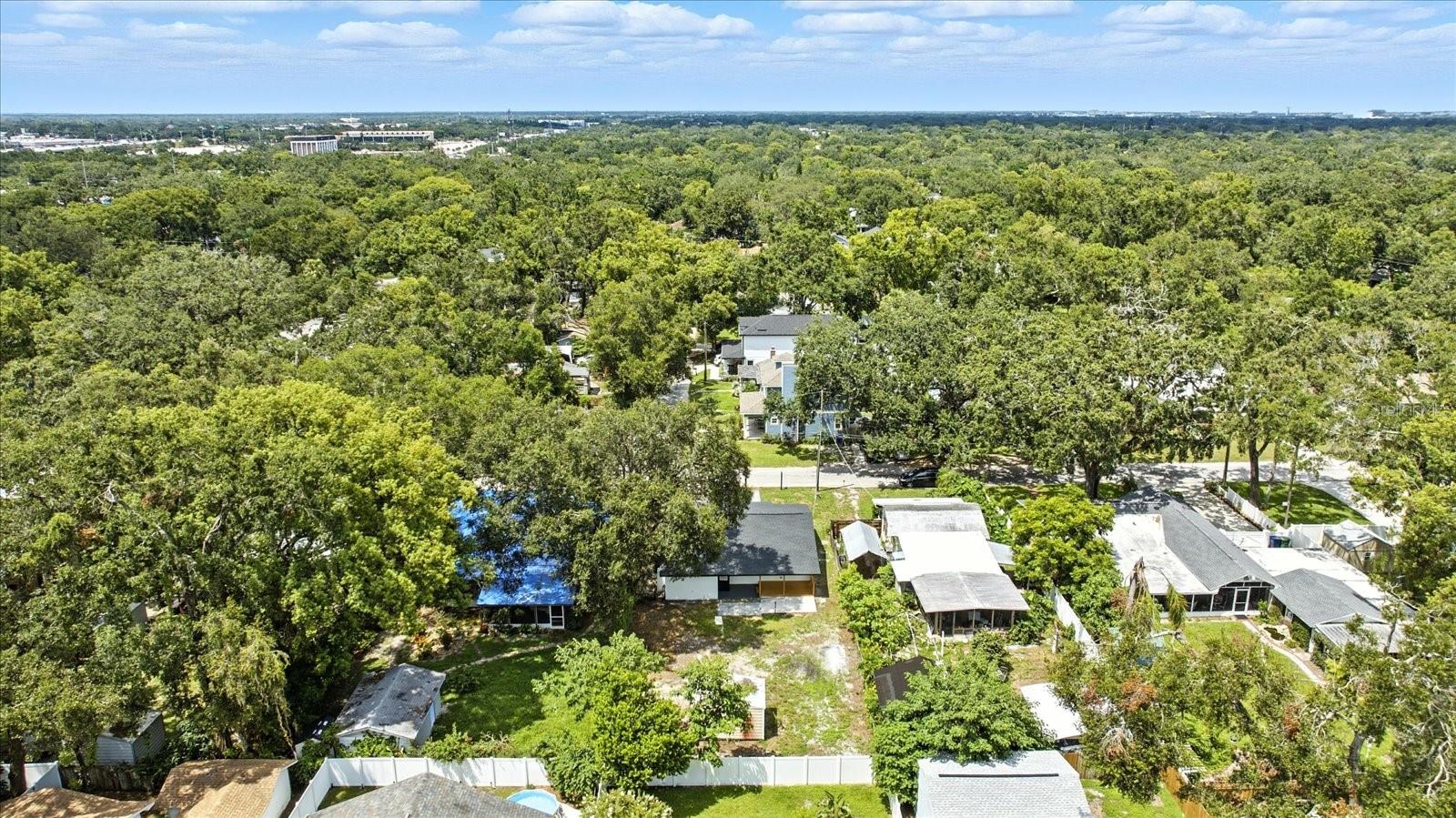 1009 E CRAWFORD ST, TAMPA, FL, 33604