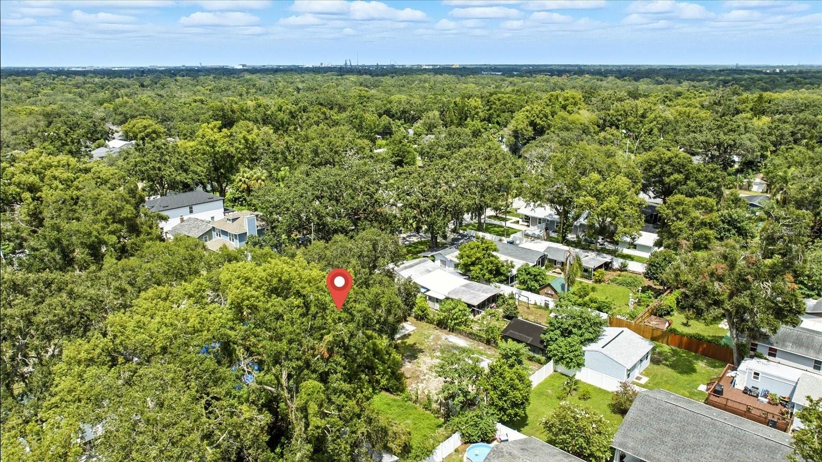 1009 E CRAWFORD ST, TAMPA, FL, 33604