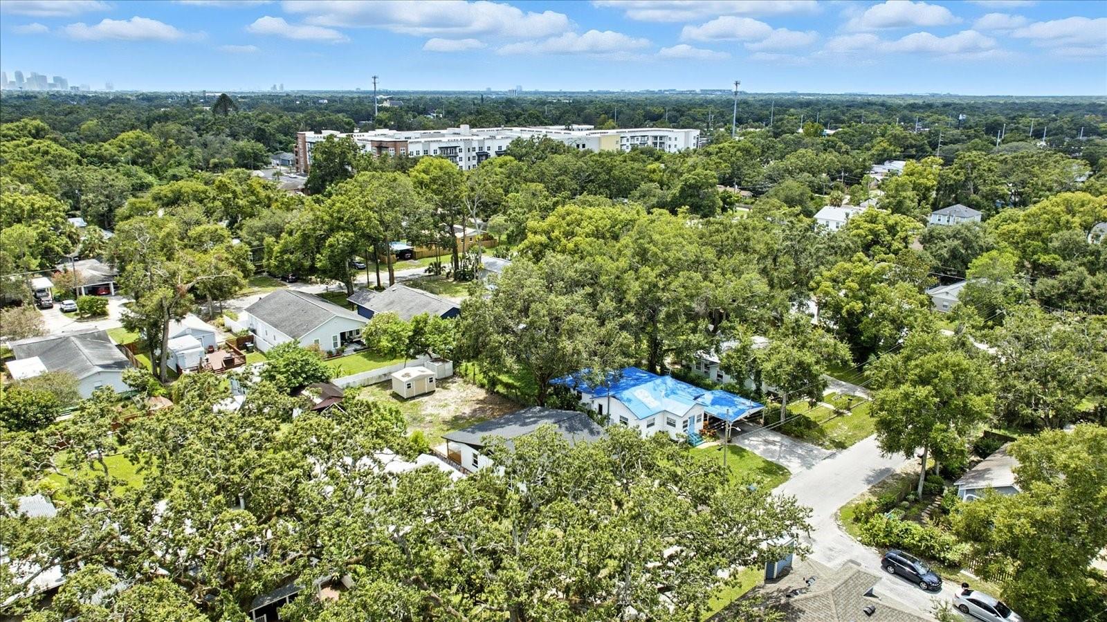 1009 E CRAWFORD ST, TAMPA, FL, 33604