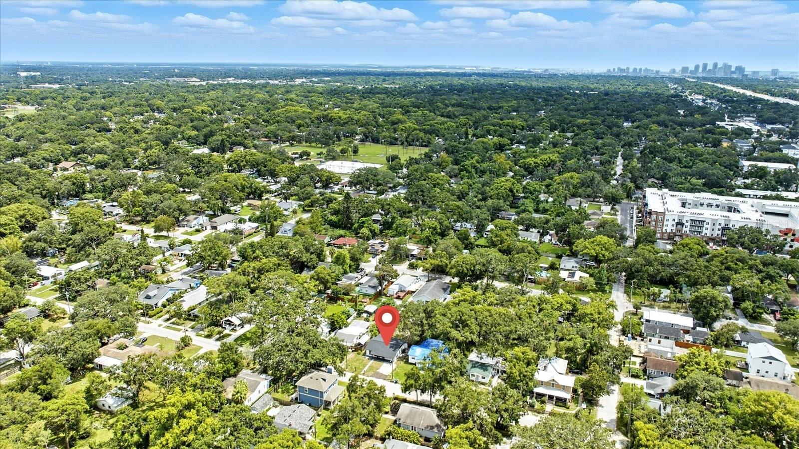 1009 E CRAWFORD ST, TAMPA, FL, 33604