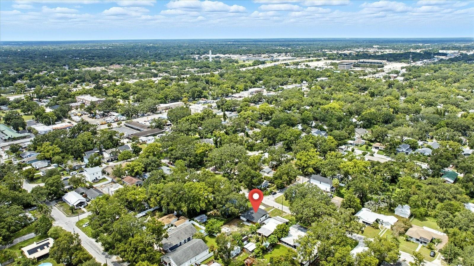 1009 E CRAWFORD ST, TAMPA, FL, 33604