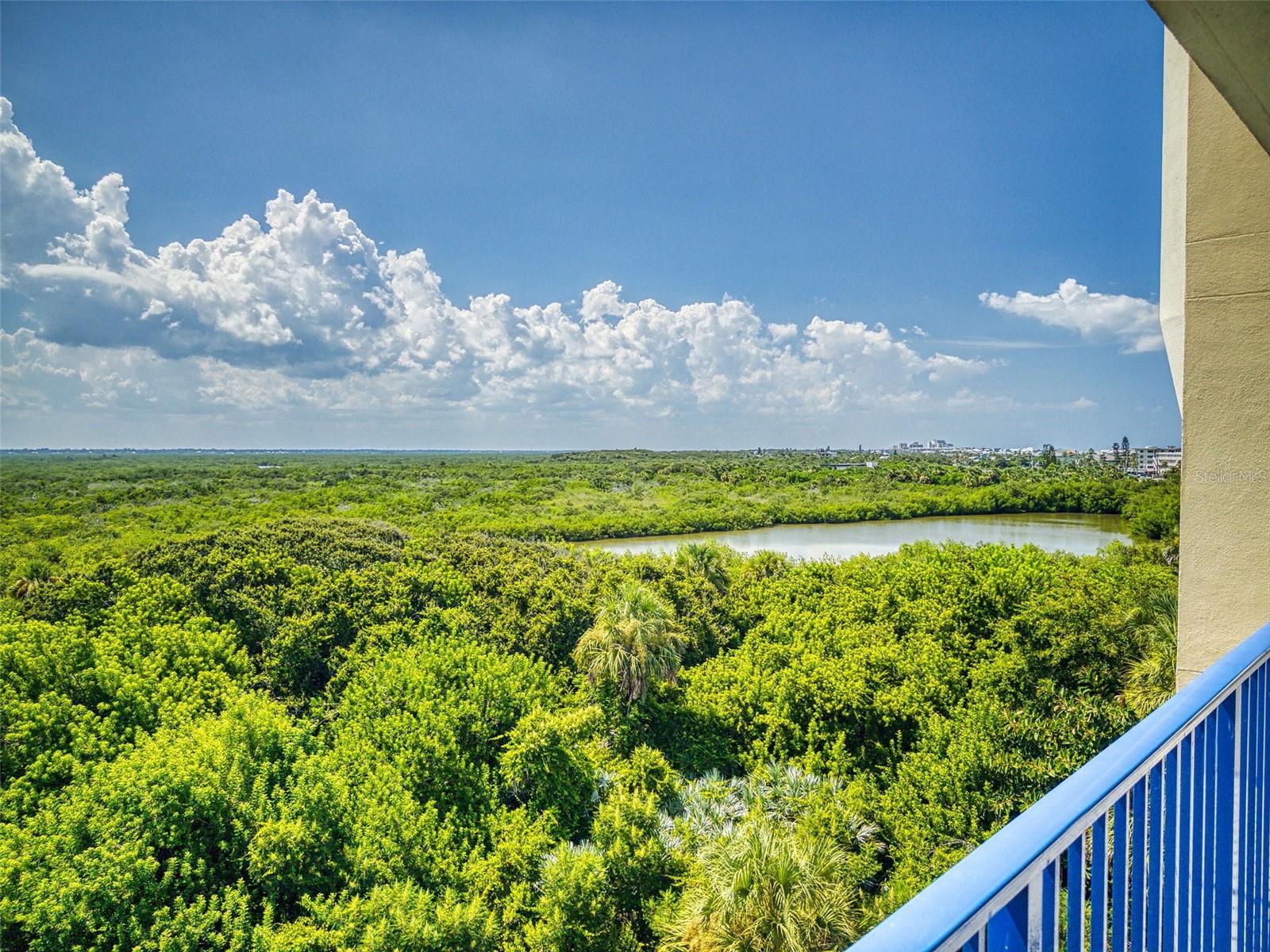 5300 ATLANTIC #4506, NEW SMYRNA BEACH, FL, 32169