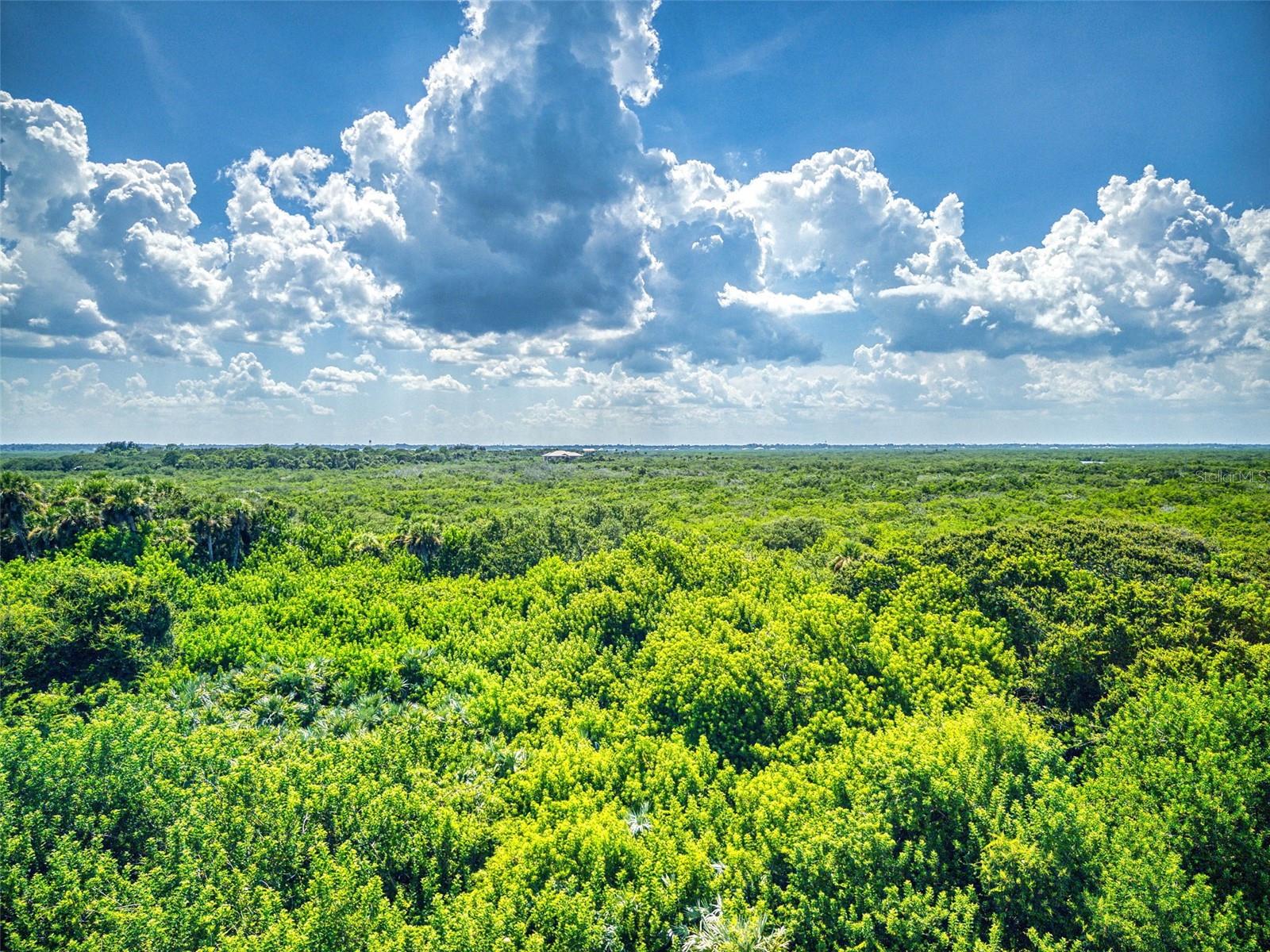 5300 ATLANTIC #4506, NEW SMYRNA BEACH, FL, 32169