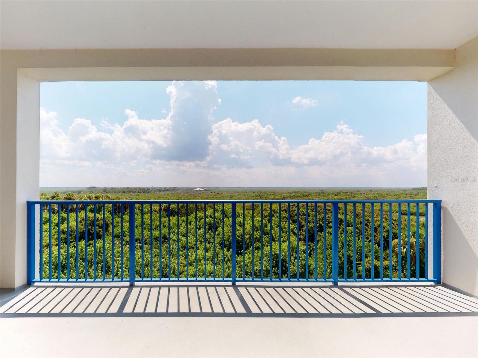 5300 ATLANTIC #4506, NEW SMYRNA BEACH, FL, 32169