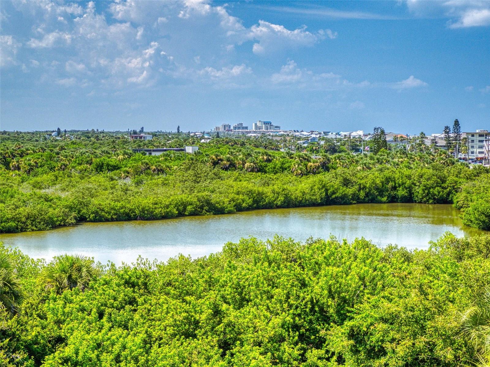 5300 ATLANTIC #4506, NEW SMYRNA BEACH, FL, 32169