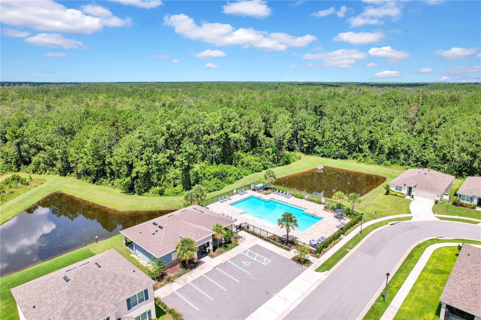 1274 IGUANA LOOP, DAVENPORT, FL, 33897