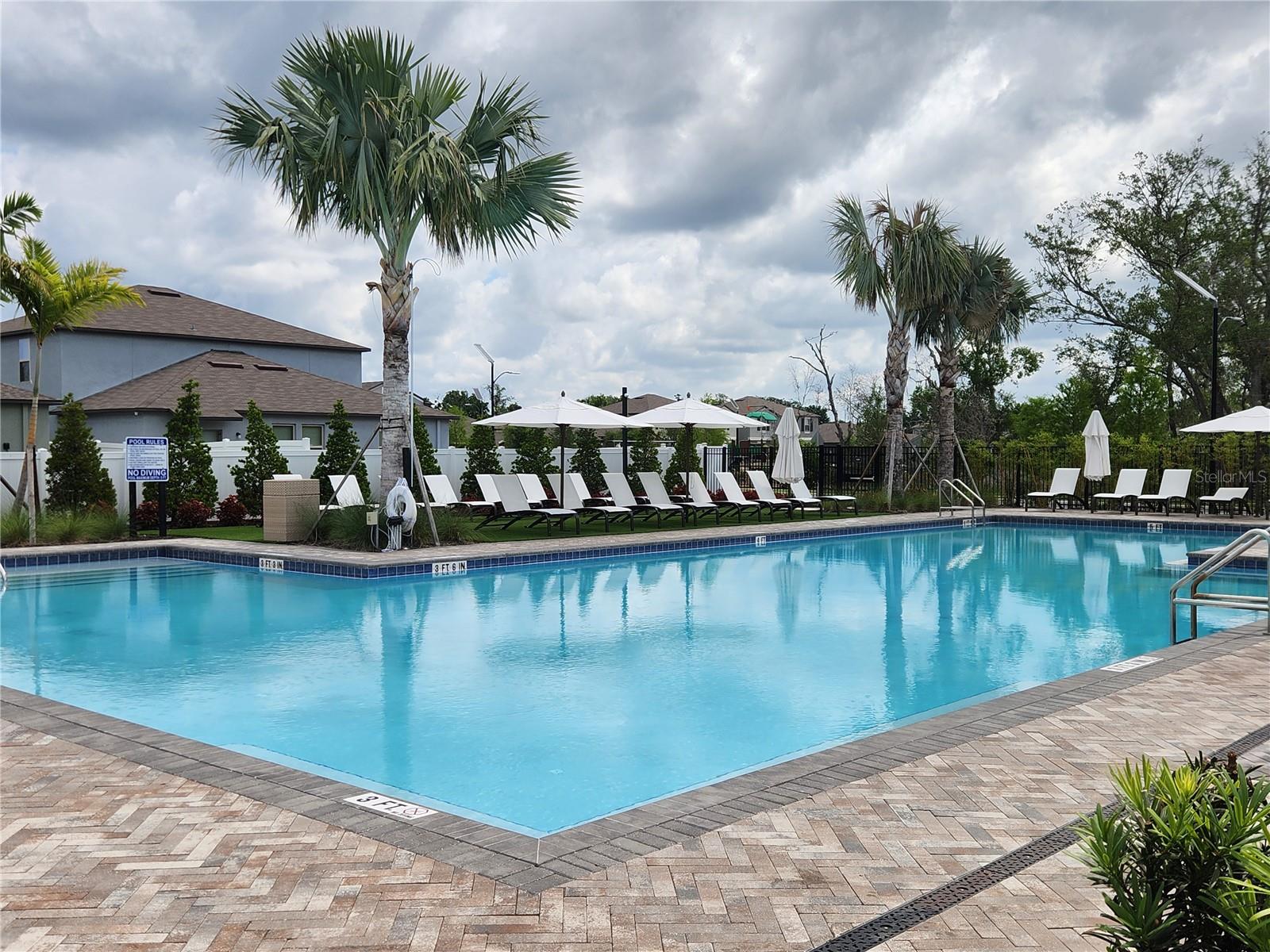 10357 SCARLET SKIMMER DR, RIVERVIEW, FL, 33578