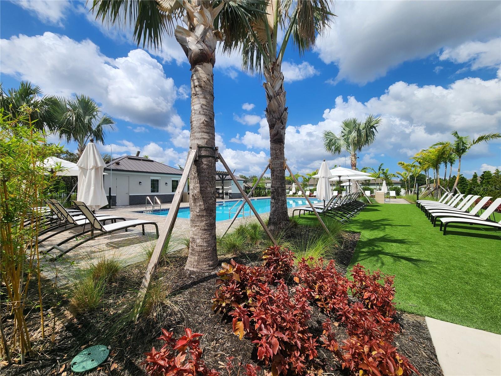 10357 SCARLET SKIMMER DR, RIVERVIEW, FL, 33578