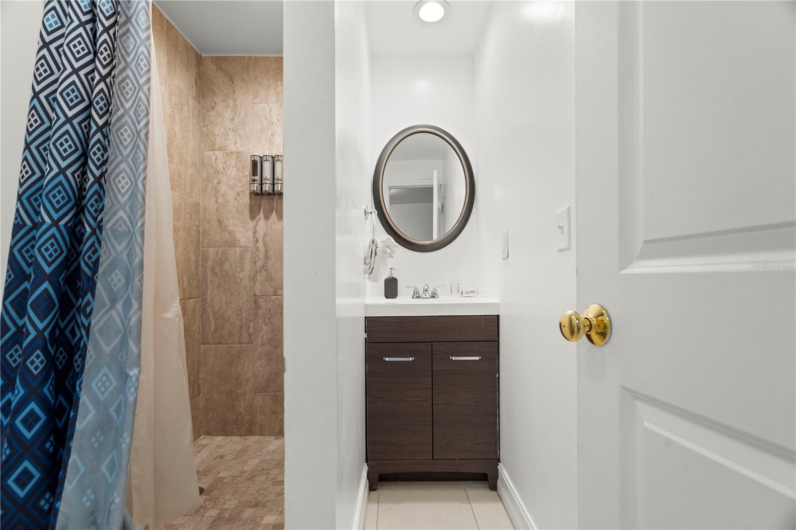 7005 FOUNTAIN AVE, TAMPA, FL, 33634