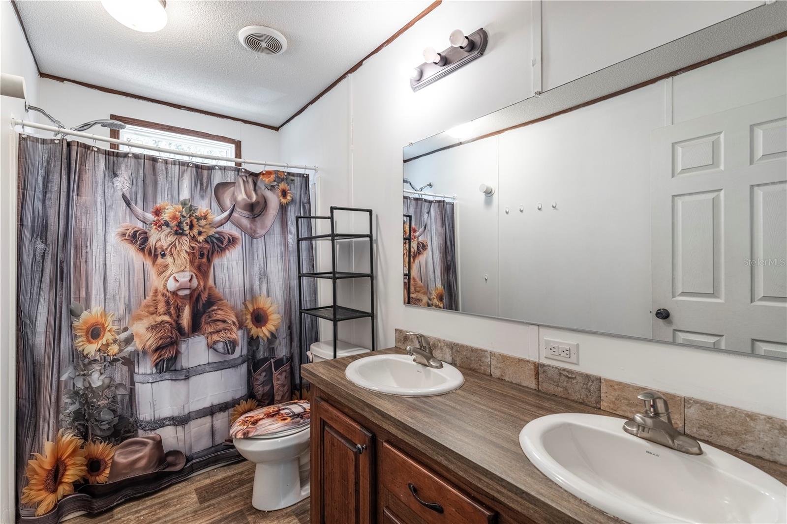 41650 THOMAS BOAT LANDING RD, UMATILLA, FL, 32784