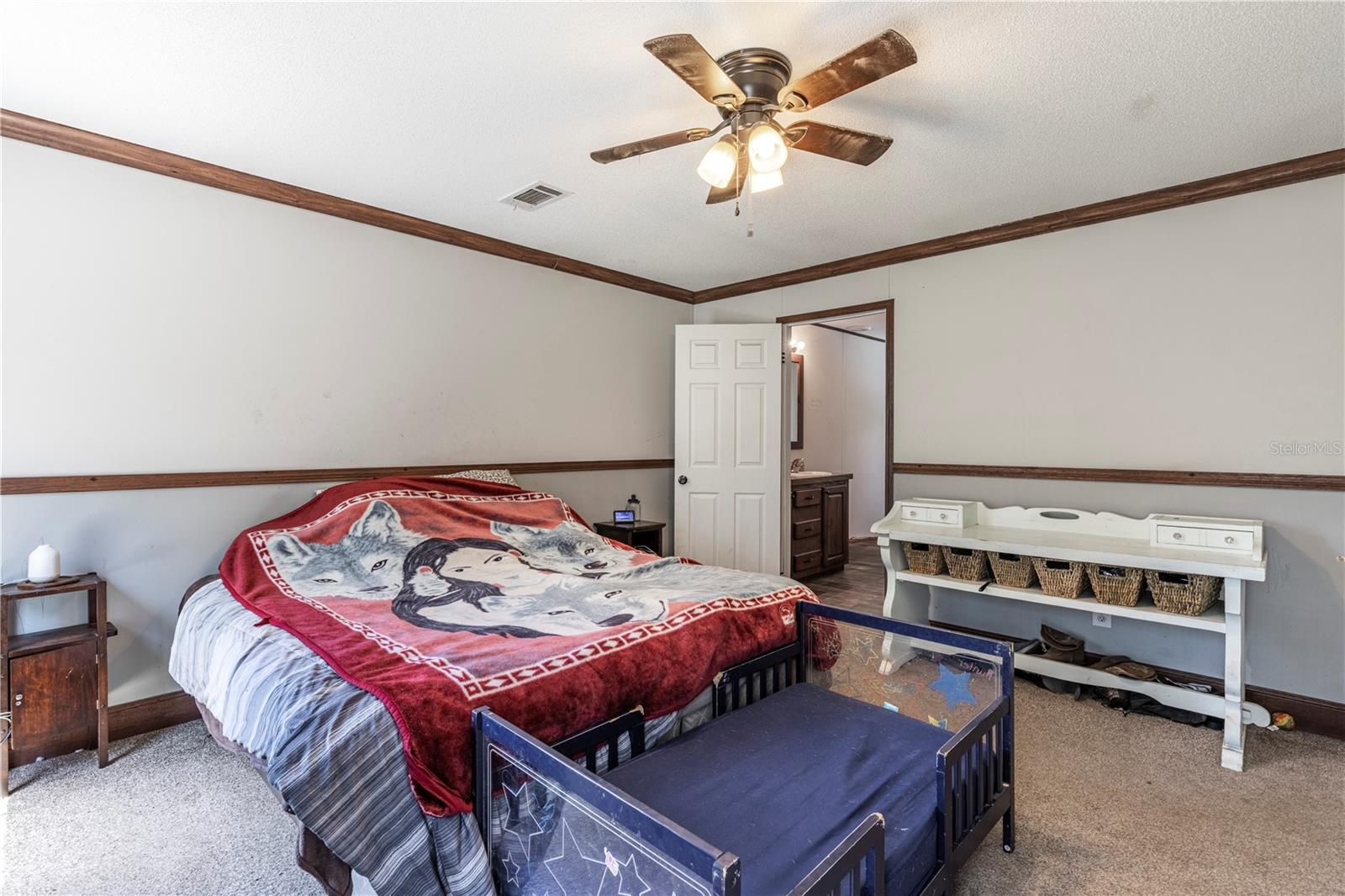 41650 THOMAS BOAT LANDING RD, UMATILLA, FL, 32784