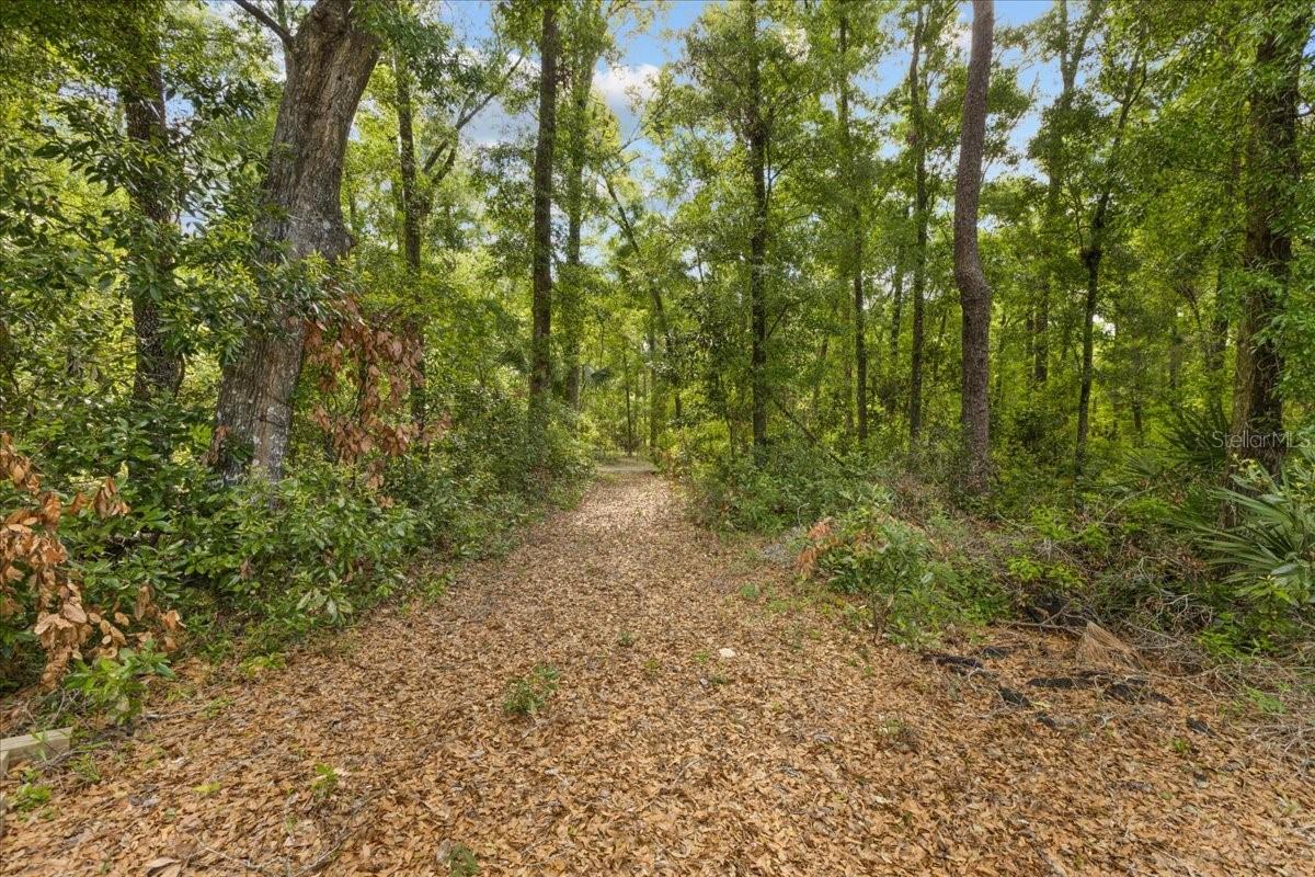 9300 EMILY DR, FANNING SPRINGS, FL, 32693