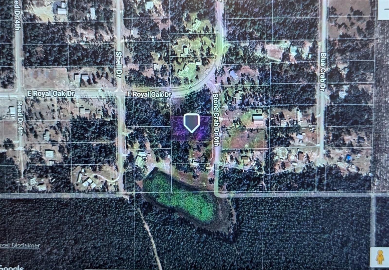 STONE CRAB, PERRY, FL, 32348