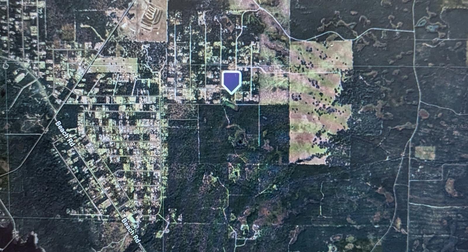 STONE CRAB, PERRY, FL, 32348