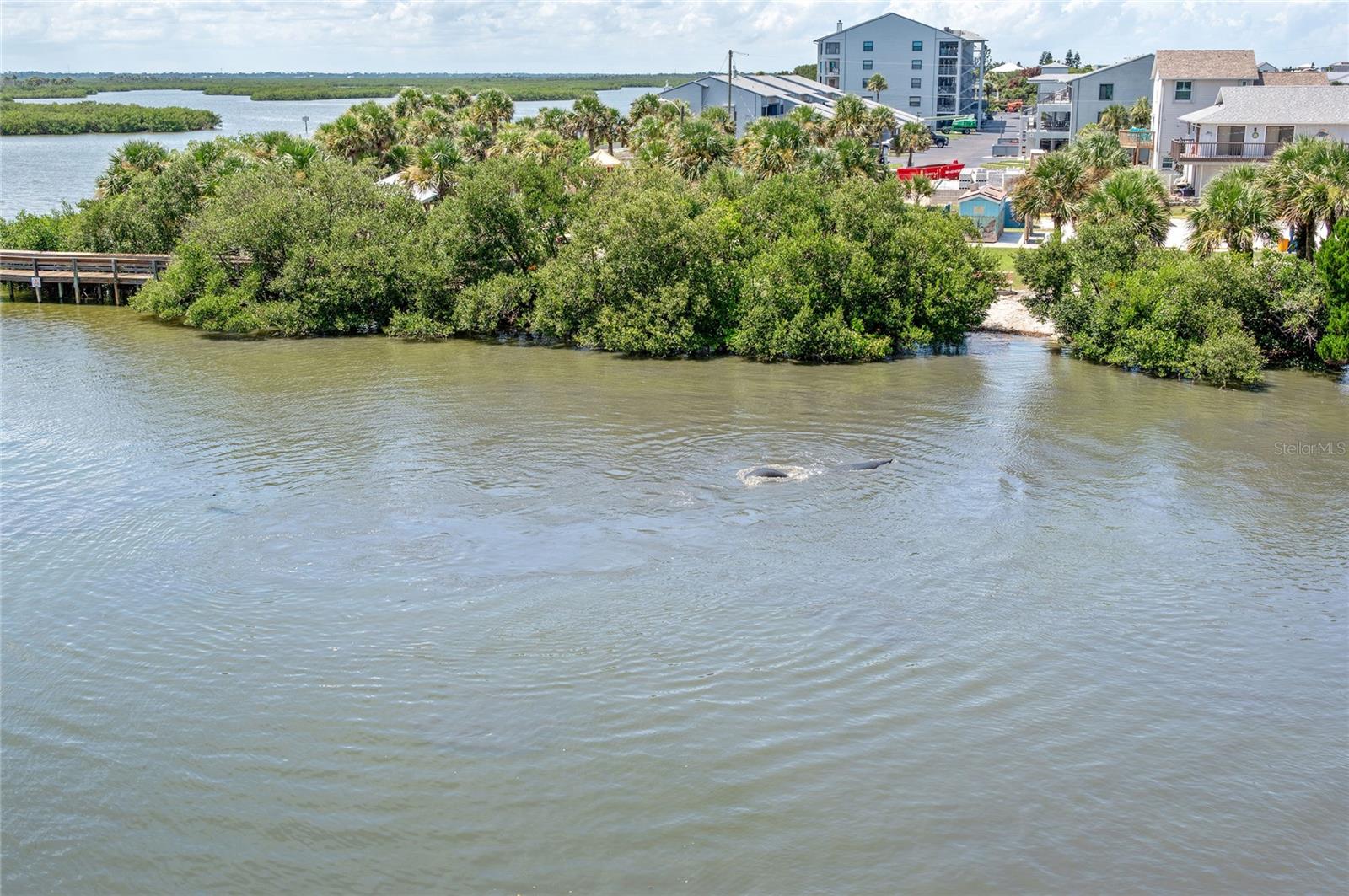 NS1085759 Property Photo