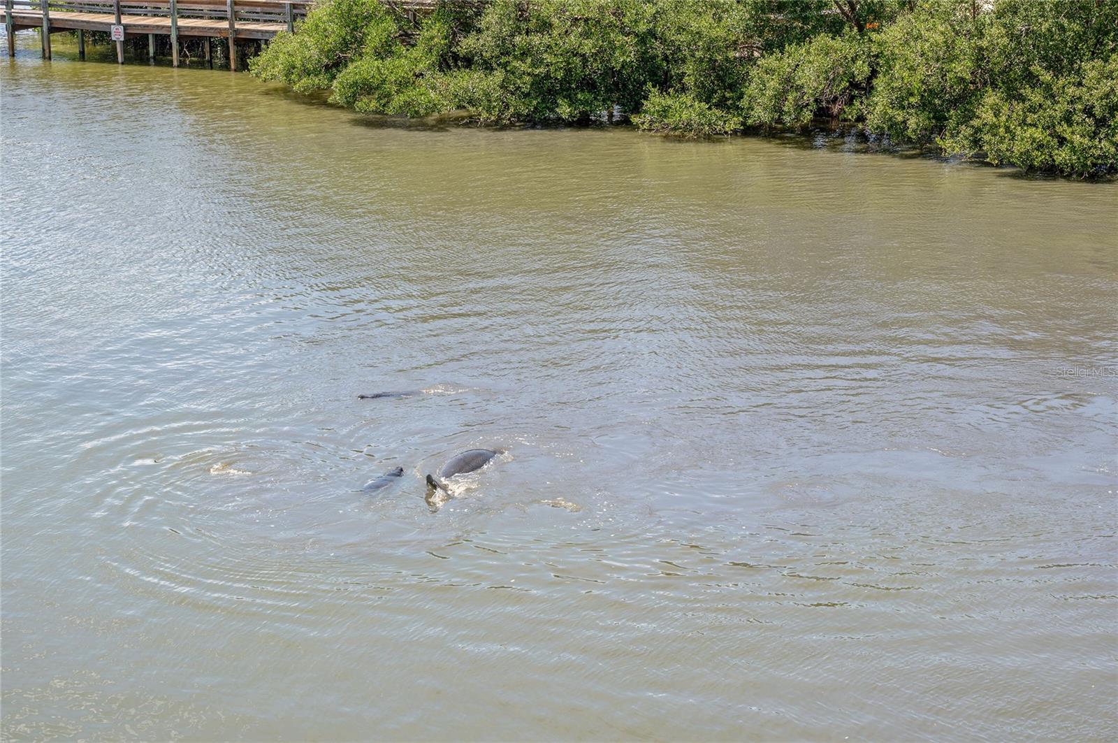 NS1085759 Property Photo