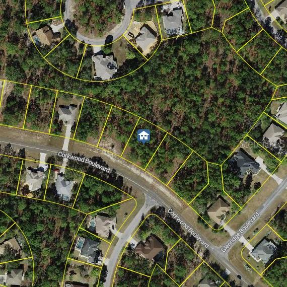 62 CORKWOOD BLVD, HOMOSASSA, FL, 34446