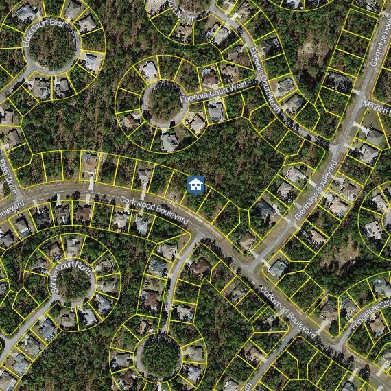 62 CORKWOOD BLVD, HOMOSASSA, FL, 34446