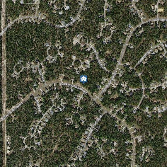 62 CORKWOOD BLVD, HOMOSASSA, FL, 34446