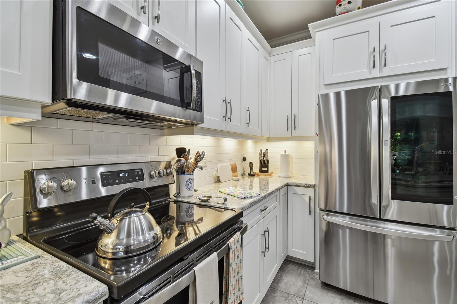 8747 TERRACINA LAKE DR, TAMPA, FL, 33625