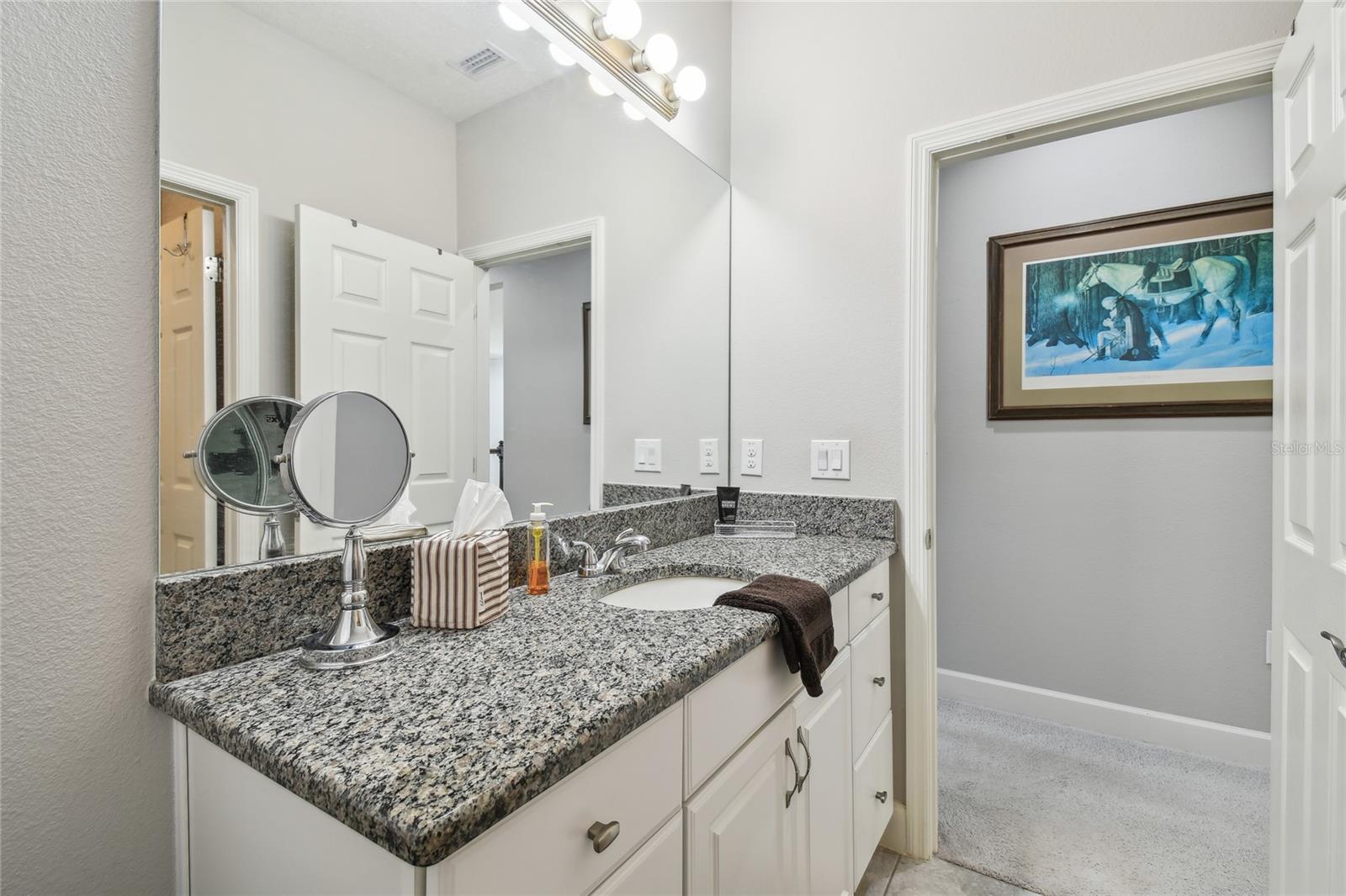 8747 TERRACINA LAKE DR, TAMPA, FL, 33625