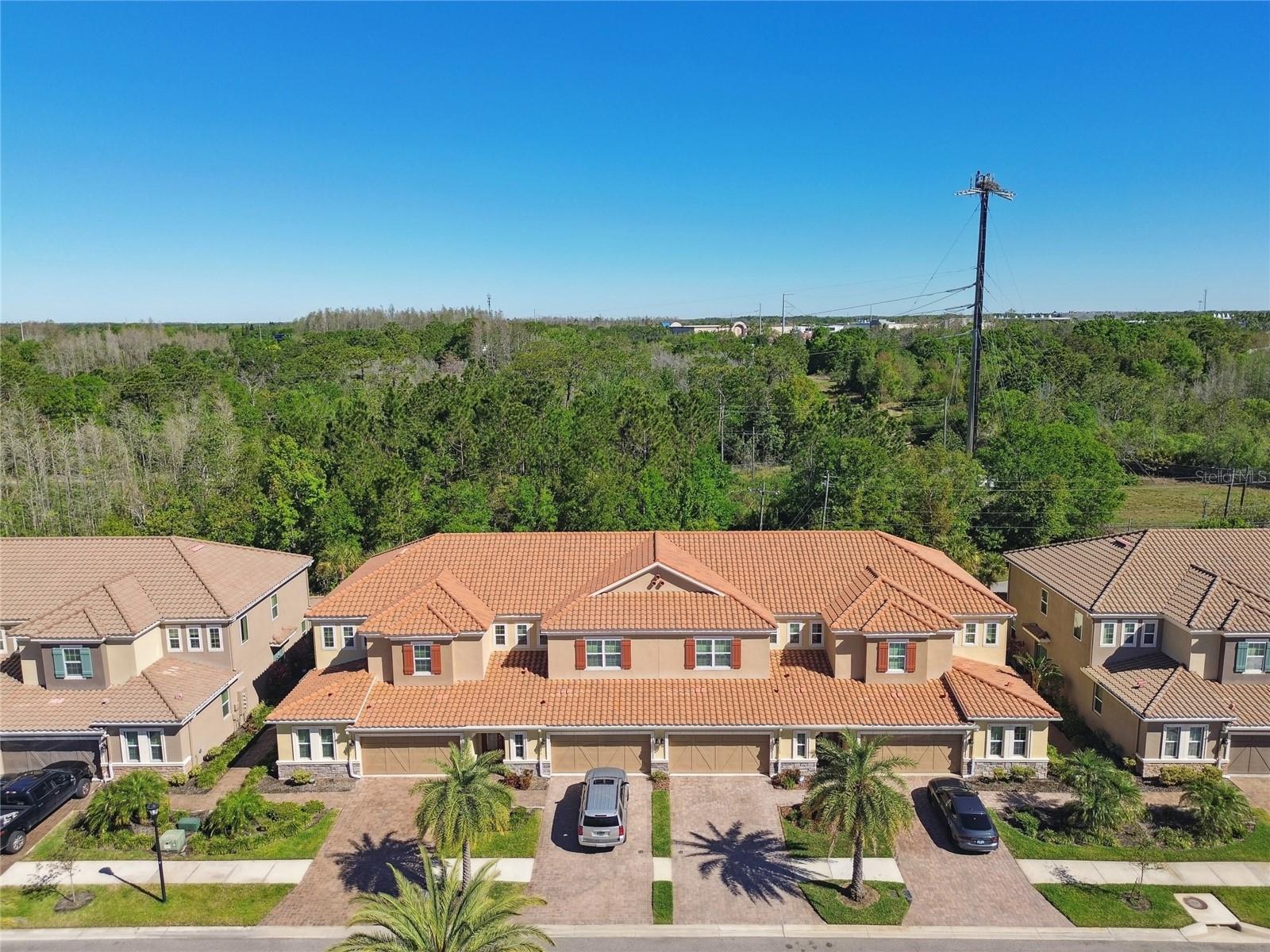 8747 TERRACINA LAKE DR, TAMPA, FL, 33625