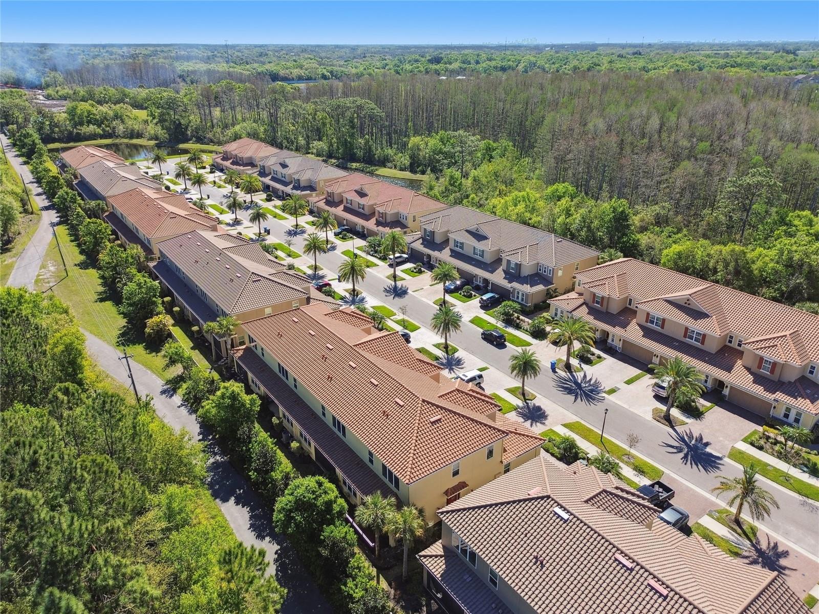 8747 TERRACINA LAKE DR, TAMPA, FL, 33625