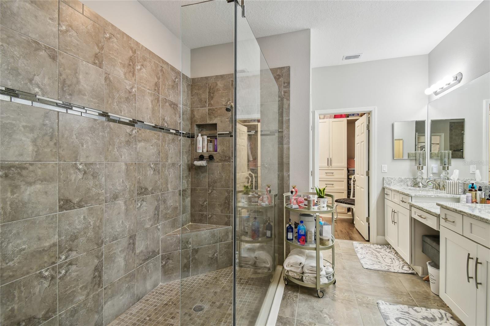 8747 TERRACINA LAKE DR, TAMPA, FL, 33625