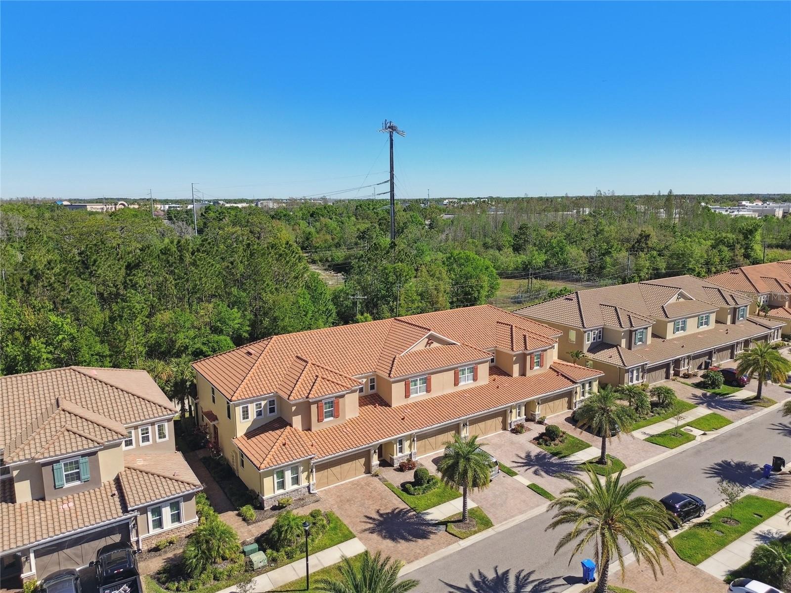8747 TERRACINA LAKE DR, TAMPA, FL, 33625