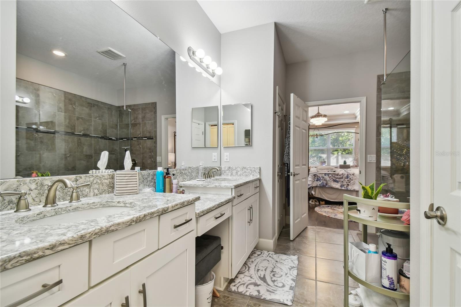 8747 TERRACINA LAKE DR, TAMPA, FL, 33625