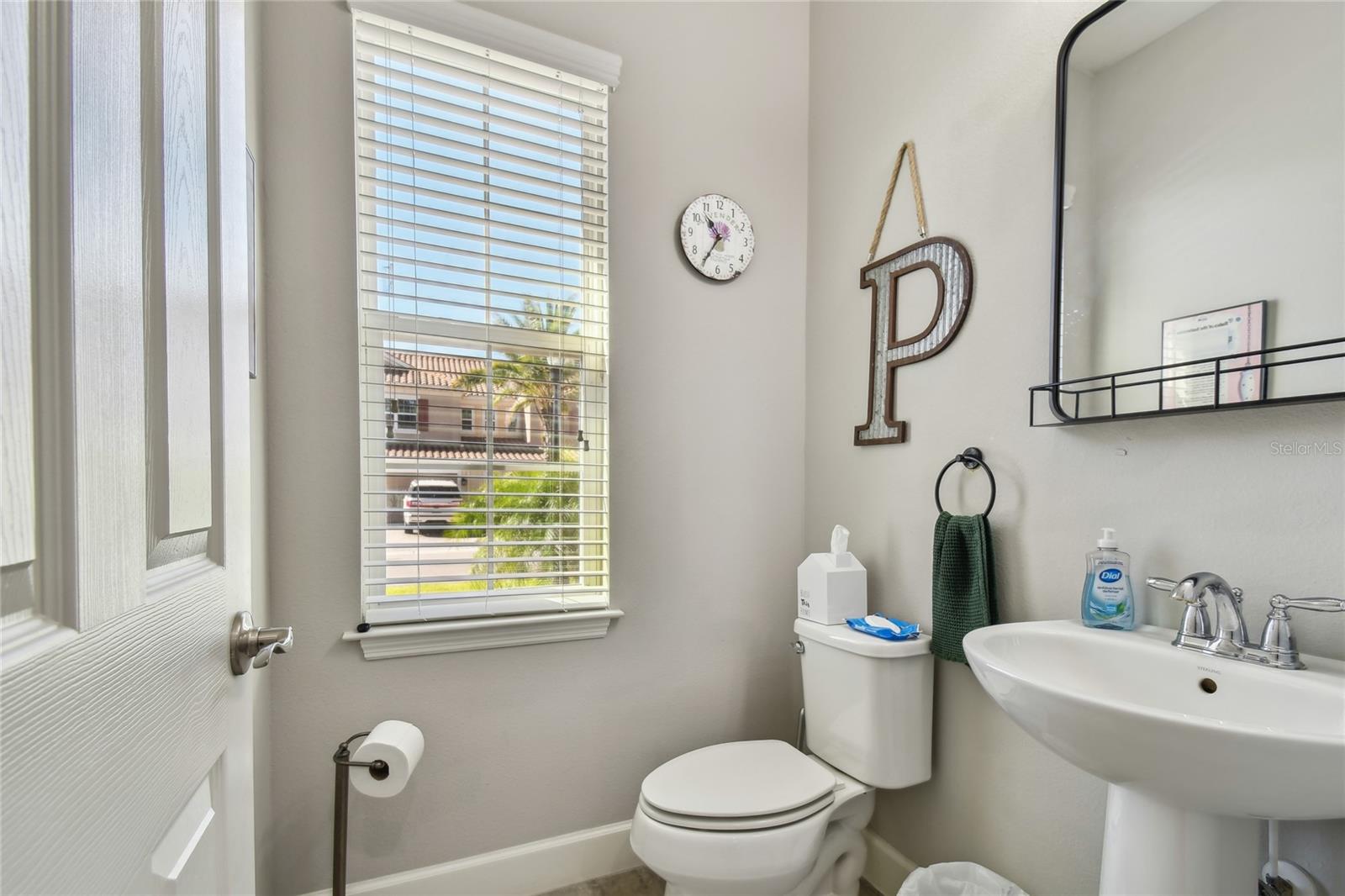 8747 TERRACINA LAKE DR, TAMPA, FL, 33625