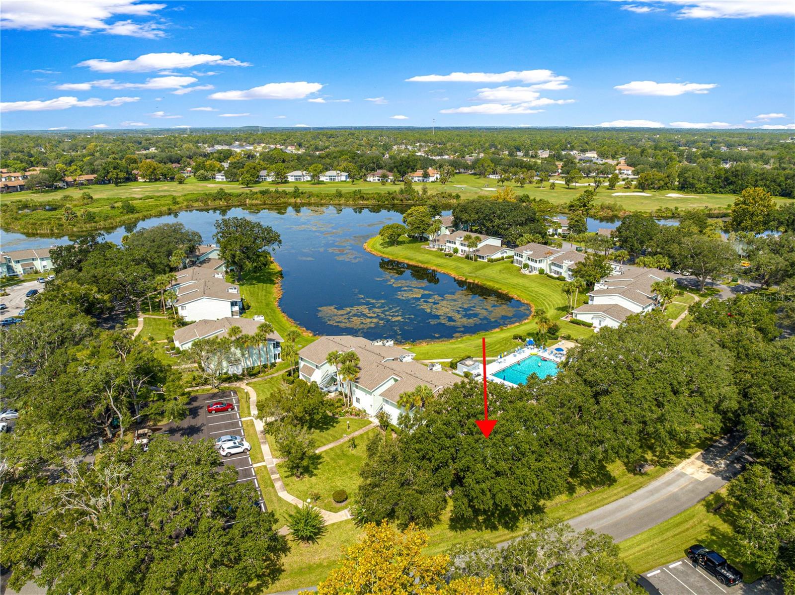 OM707813 Property Photo