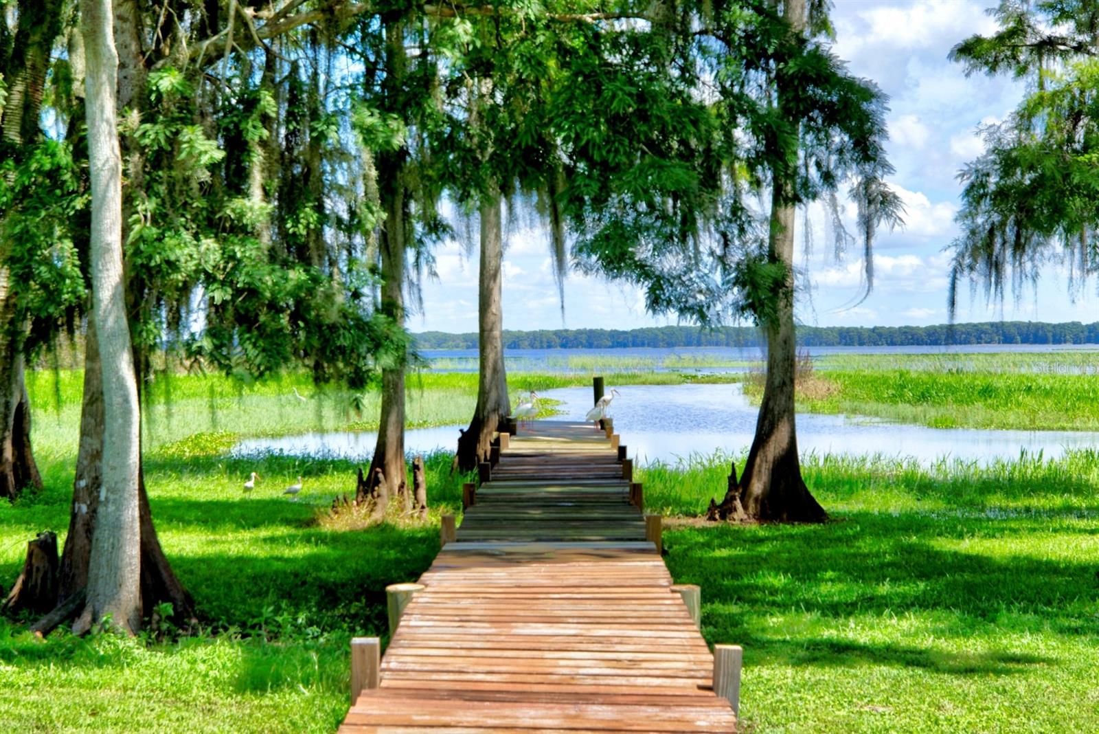 7995 COUNTY ROAD 64 E, AVON PARK, FL, 33825