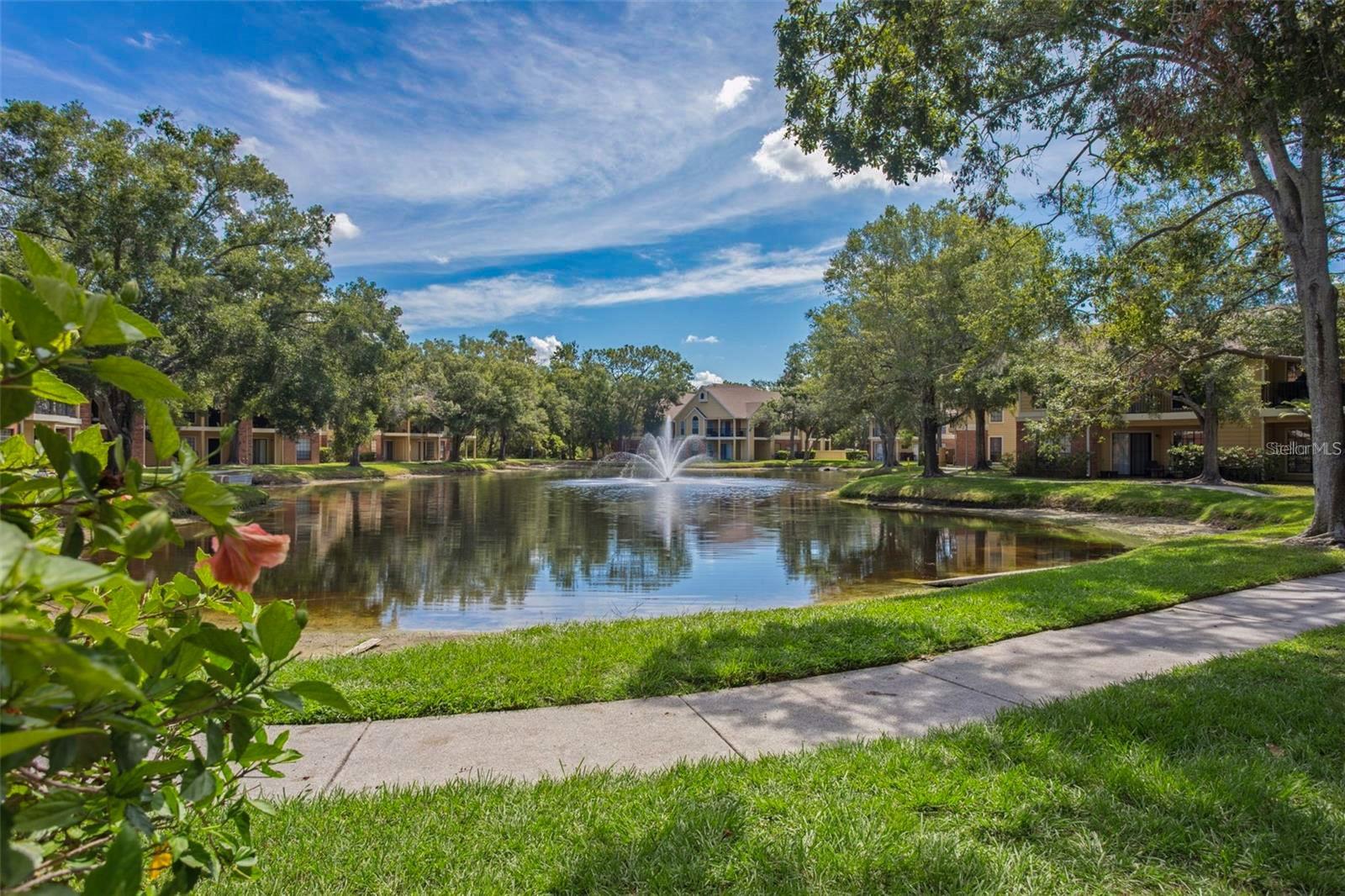 8709 FANCY FINCH DR #204(Furnished), TAMPA, FL, 33614