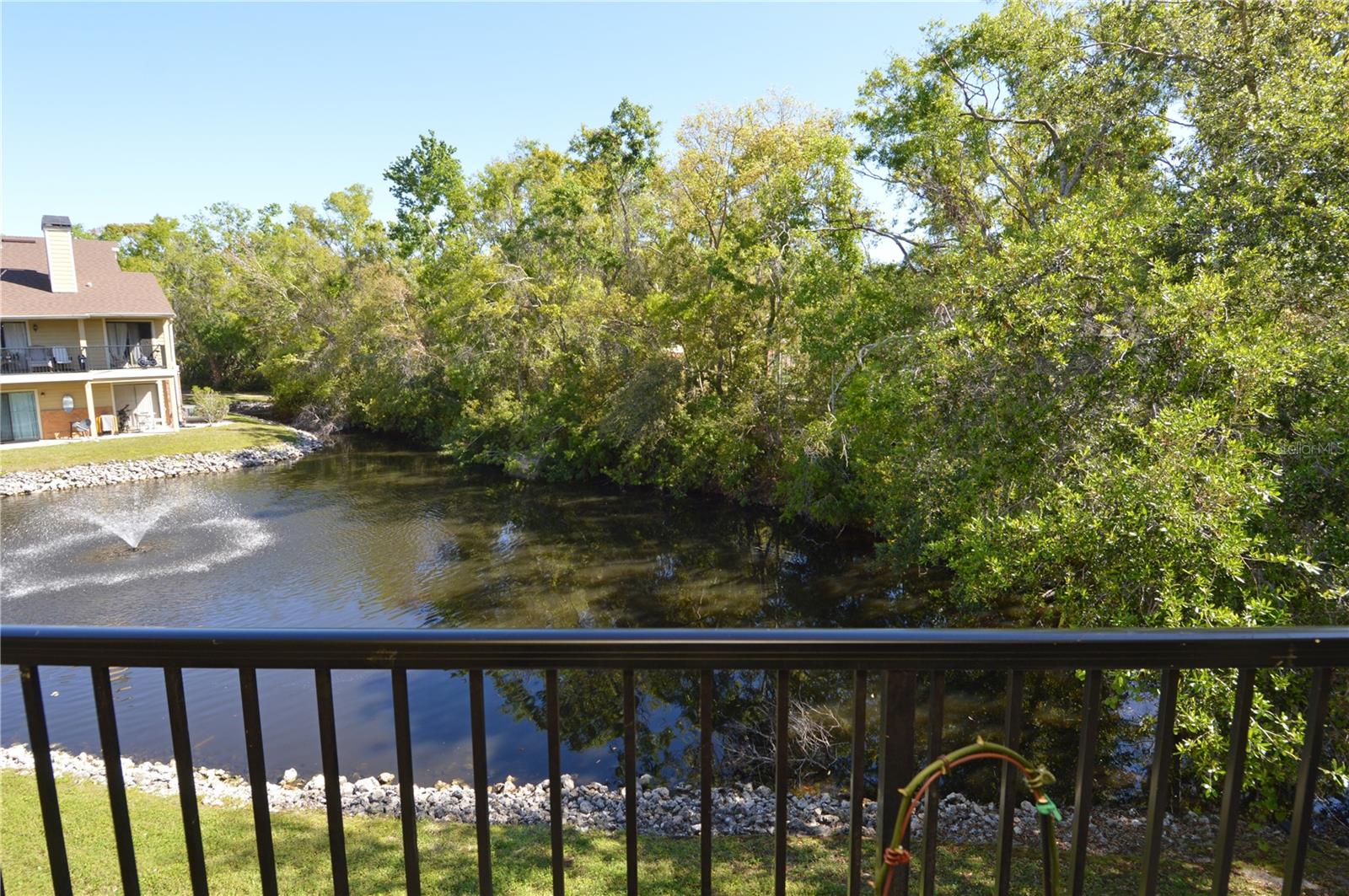 8709 FANCY FINCH DR #204(Furnished), TAMPA, FL, 33614