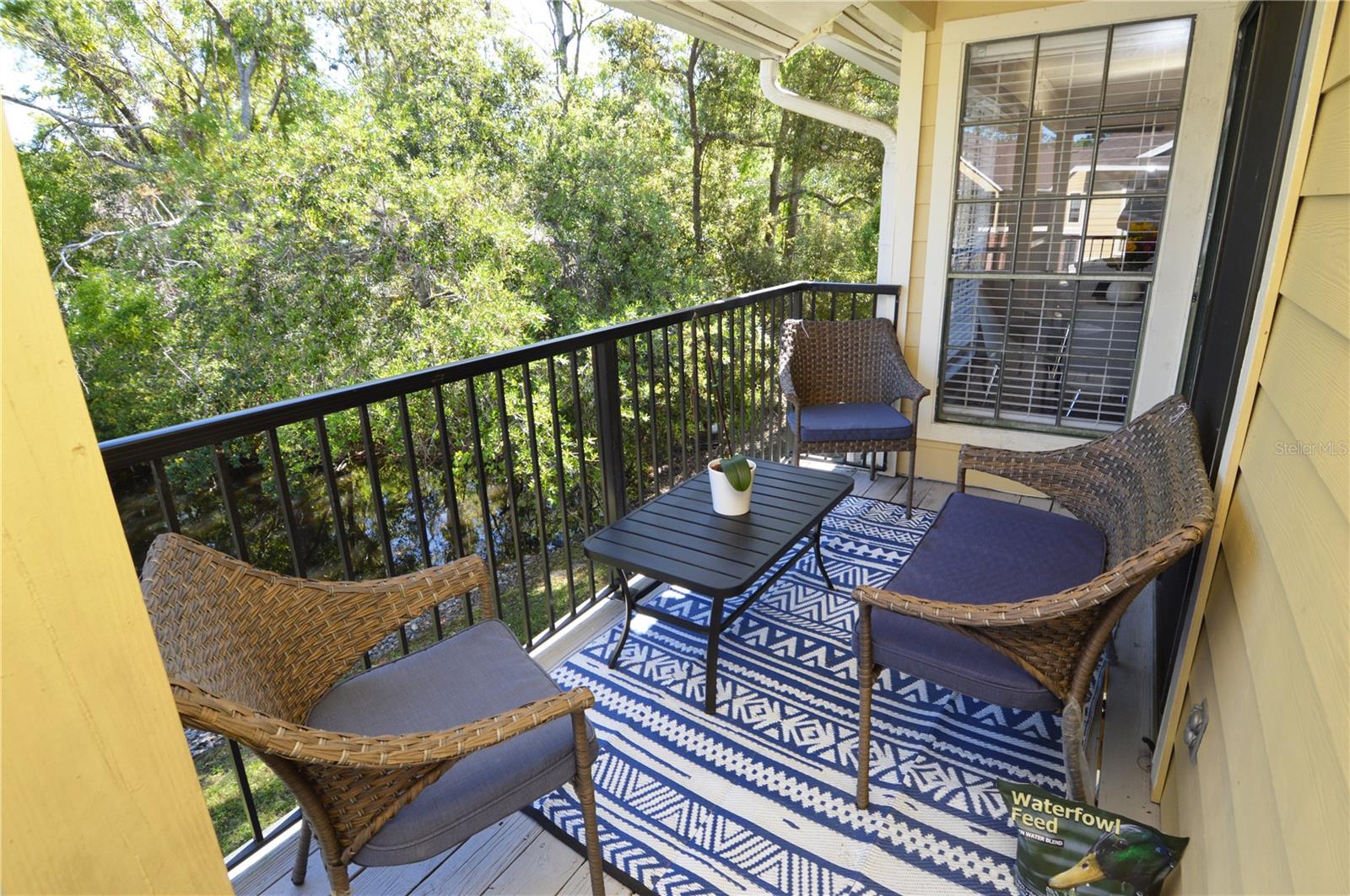 8709 FANCY FINCH DR #204(Furnished), TAMPA, FL, 33614