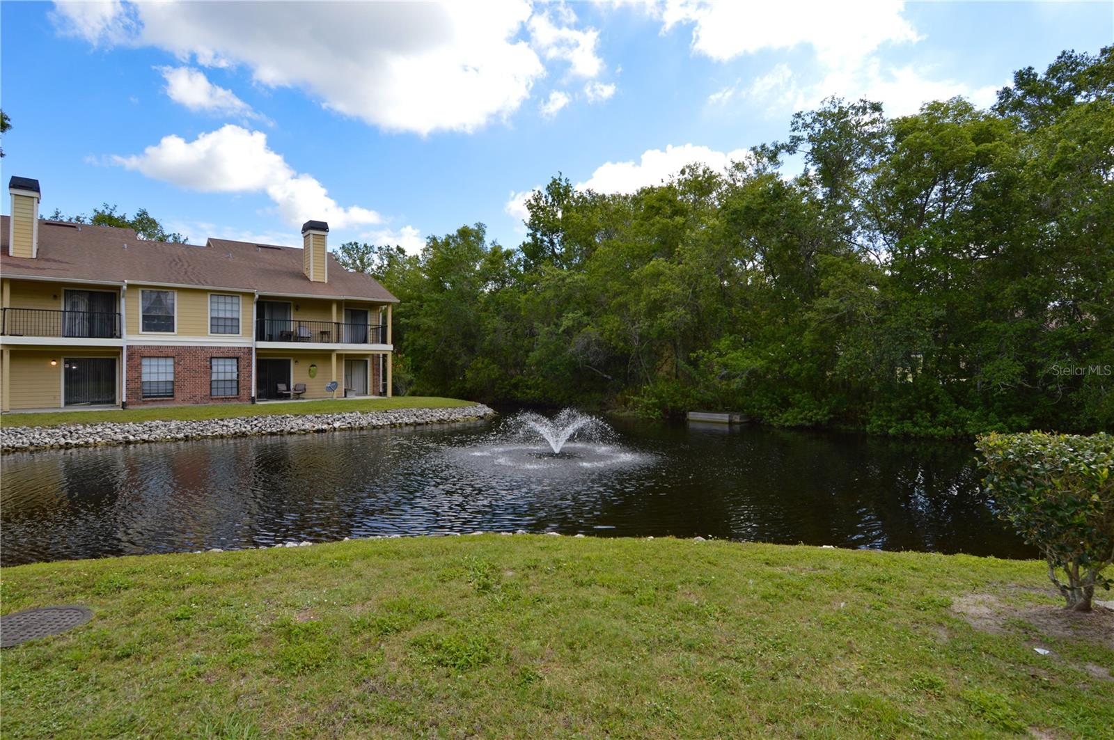 8709 FANCY FINCH DR #204(Furnished), TAMPA, FL, 33614