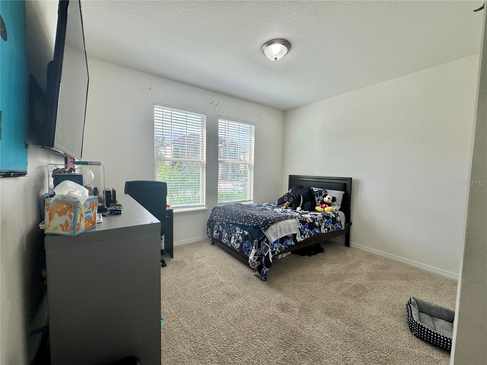 16031 SCARPETTA ST, WINTER GARDEN, FL, 34787