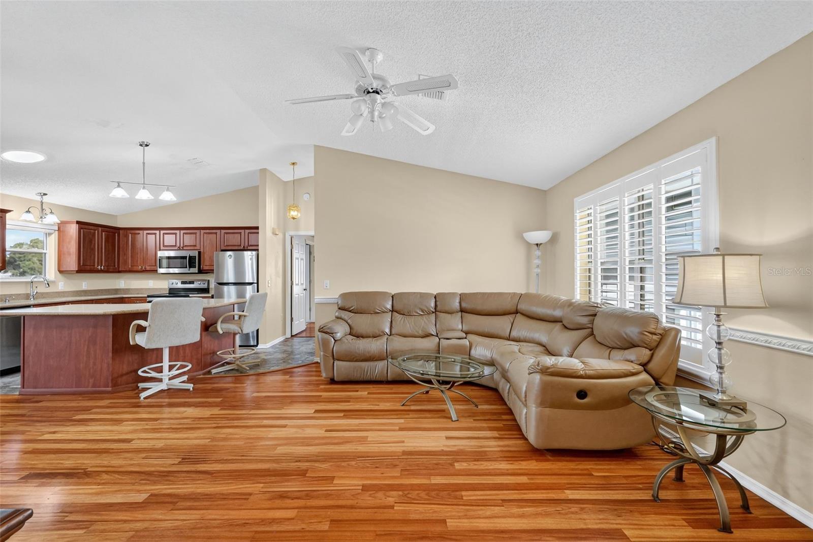 924 CAMINO DEL REY DR, THE VILLAGES, FL, 32159