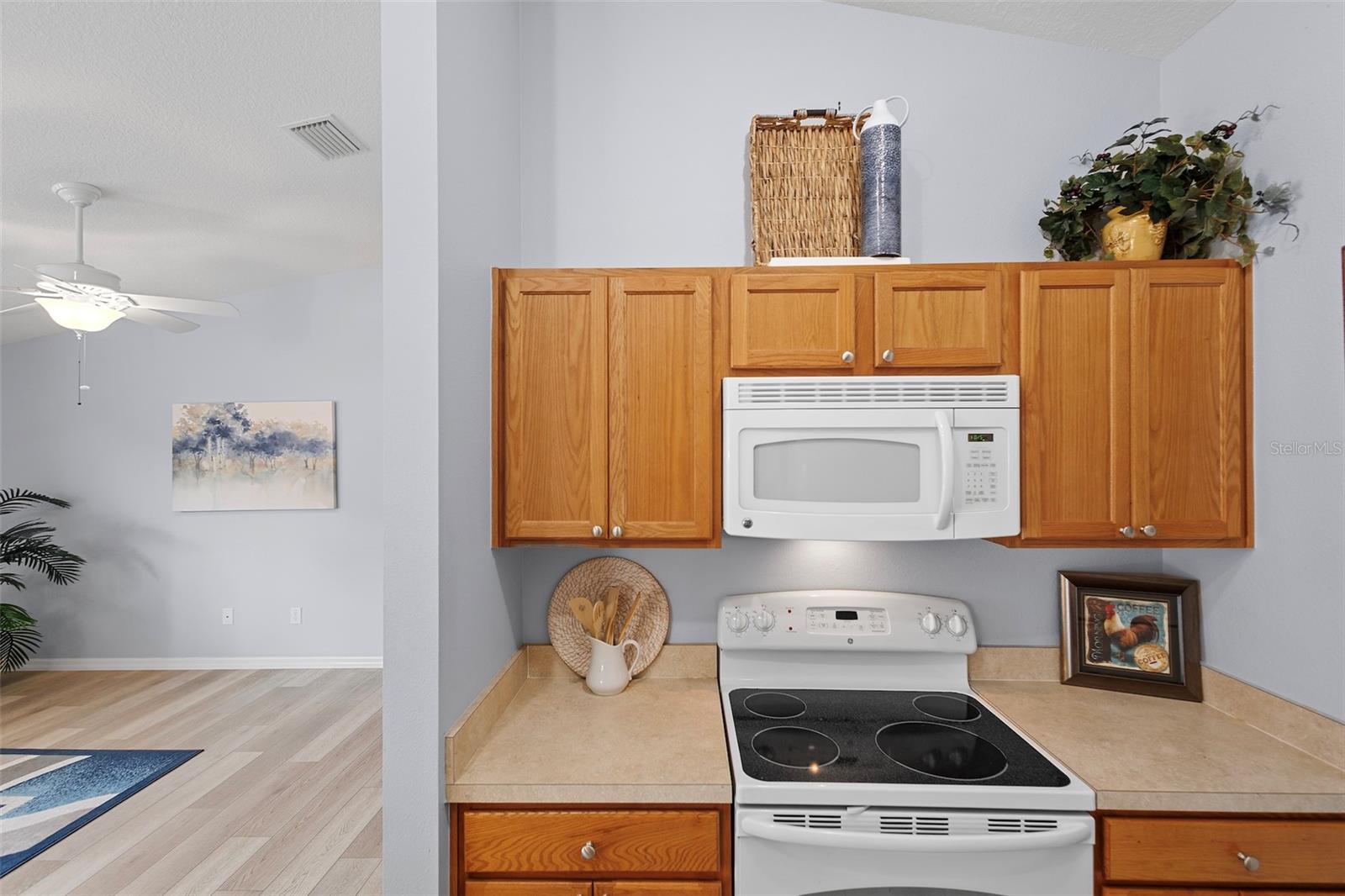 1726 ABASCO CT, THE VILLAGES, FL, 32162