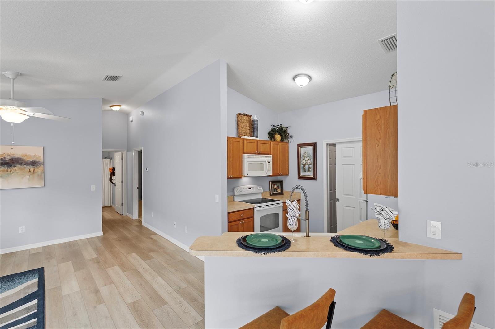 1726 ABASCO CT, THE VILLAGES, FL, 32162