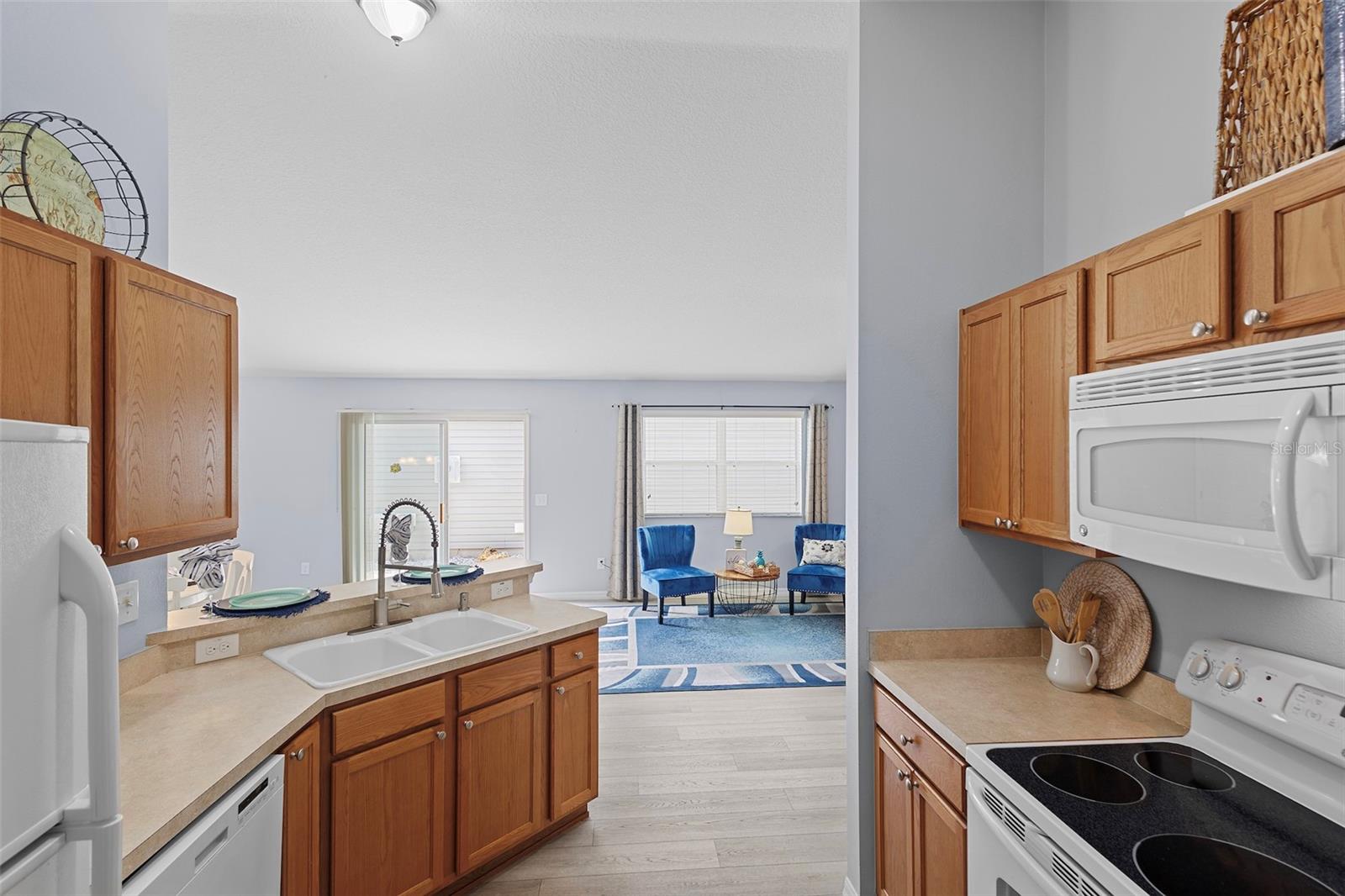 1726 ABASCO CT, THE VILLAGES, FL, 32162