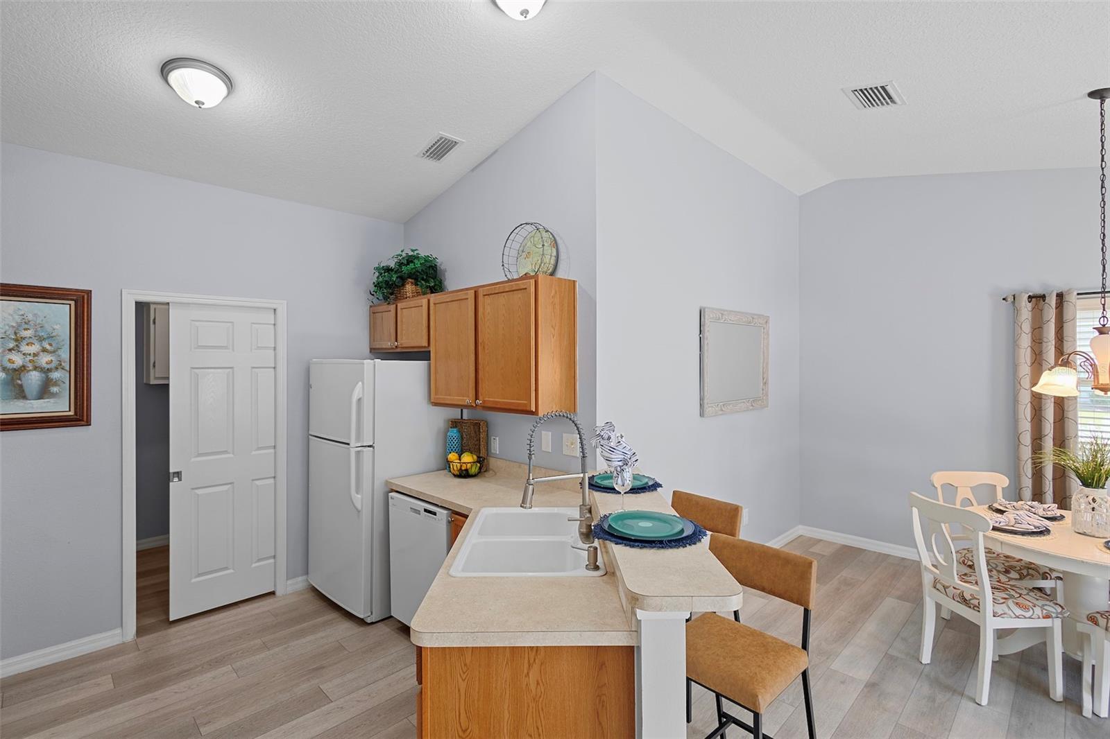 1726 ABASCO CT, THE VILLAGES, FL, 32162